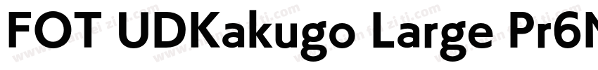 FOT UDKakugo Large Pr6N U字体转换